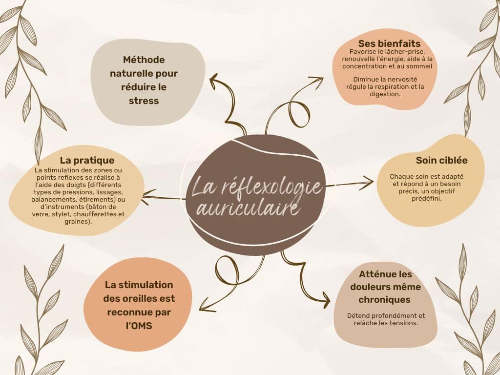 carte mentale de la réflexologie auriculaire