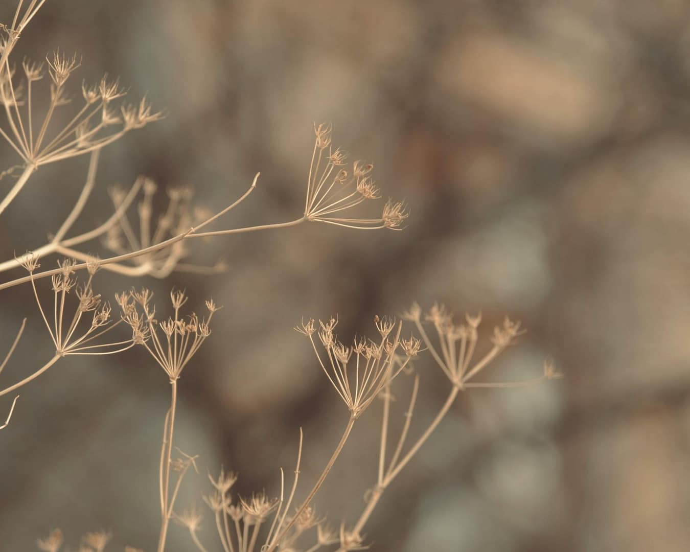 image inspirant la détente