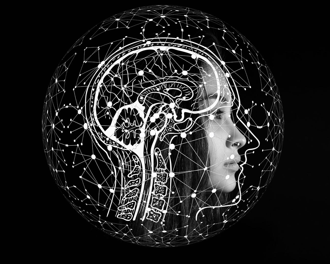 cerveau